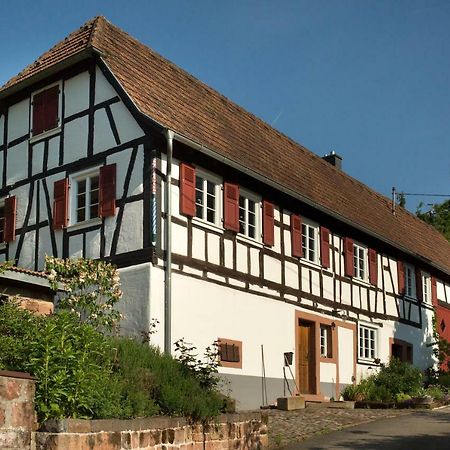Feriengaleriewohnung Im Denkmal Stilvoll-Komfortabel Baubiologisch Erlenbach  Exterior foto