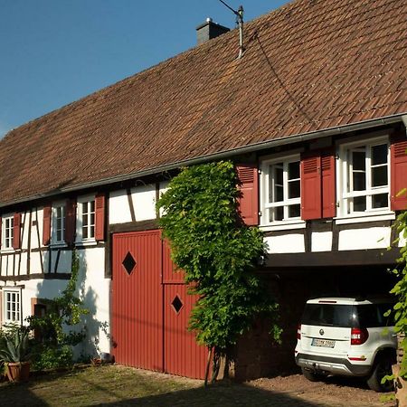 Feriengaleriewohnung Im Denkmal Stilvoll-Komfortabel Baubiologisch Erlenbach  Exterior foto