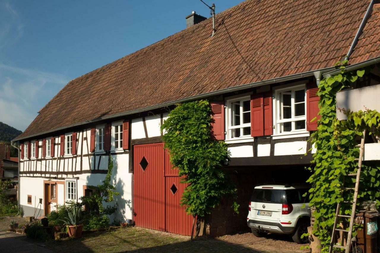 Feriengaleriewohnung Im Denkmal Stilvoll-Komfortabel Baubiologisch Erlenbach  Exterior foto